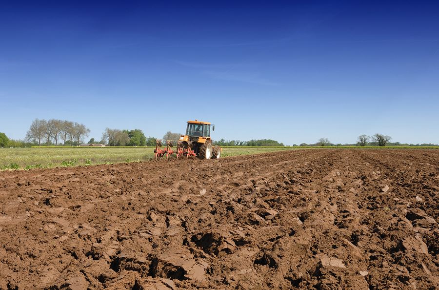 Image de la catégorie Bineuses