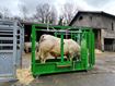 Image sur CAGE CONTENTION PM 2400