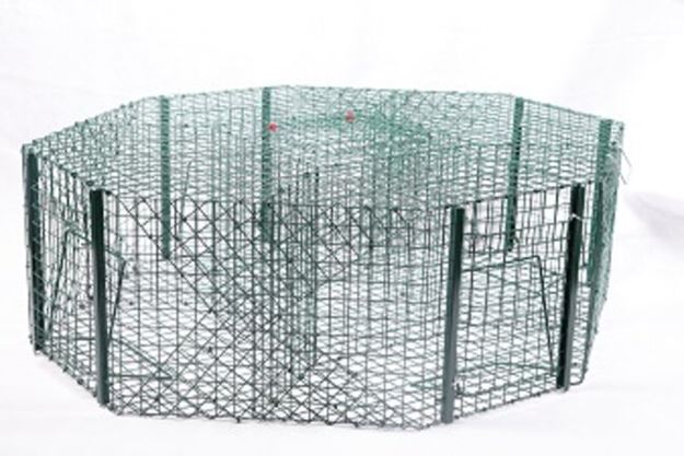 Image sur CAGE A PIE OCTOGONALE