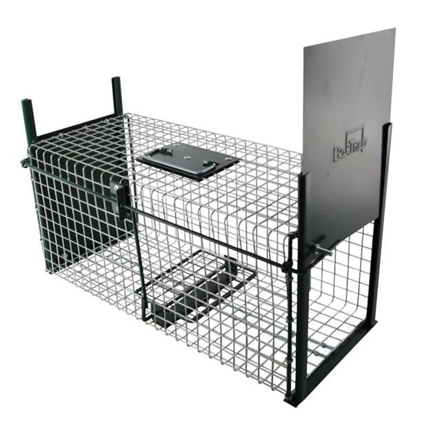 Image sur cage à rats 2 portes 50x20x20